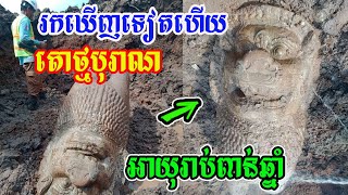 រកឃើញរូបចម្លាក់តោថ្ម នៅវត្តភ្នំ នៅល្អស្អាតណាស់