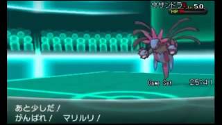 【ポケモンXY】高火力＆耐久で対戦を制しますぞｗｗｗ part 4【役割論理】