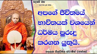 අපගේ ජීවිතයේ භාවිතයක් වශයෙන් ධර්මය පුරුදු කරගත යුතුයි.1316Ven Hasalaka Seelawimala Thero