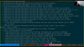 GitLab Container Registry Database Migration Demo