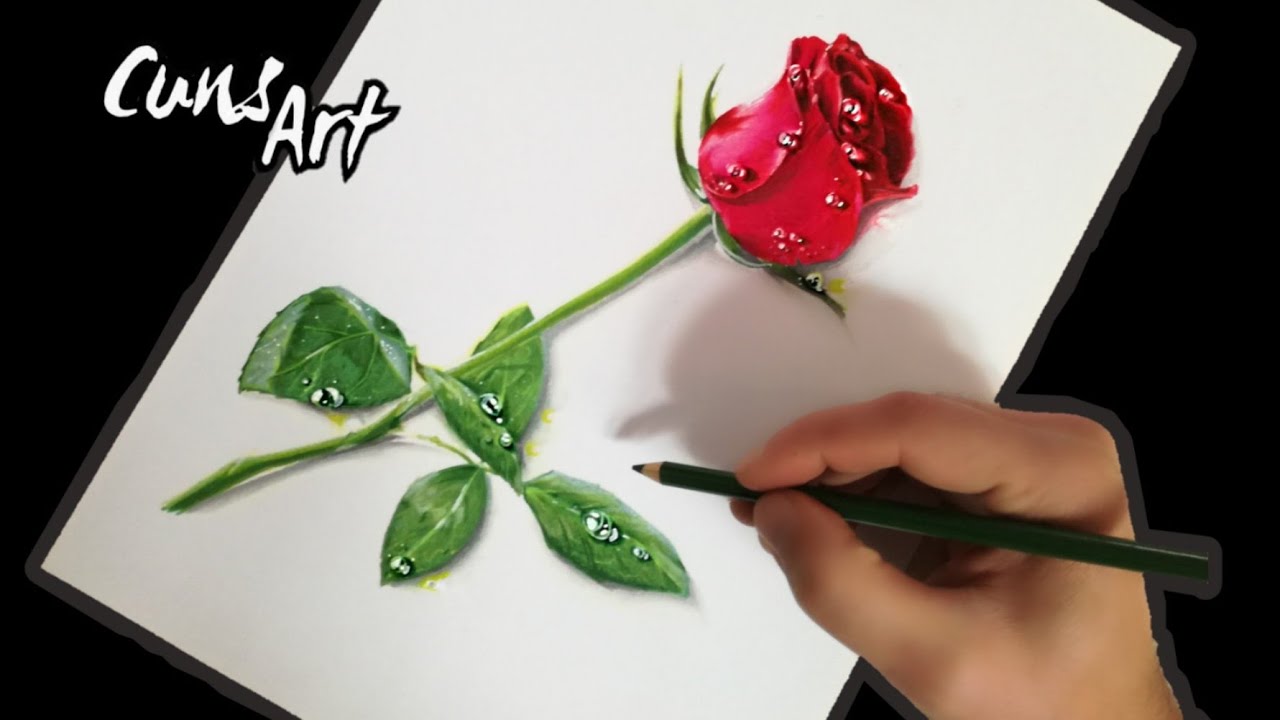 Como Dibujar Una Rosa Realista A Lapiz