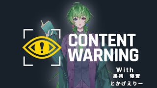 ストグラFVの人たちでContent Warning再び