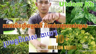 ថ្នាំធម្មជាតិ កែបញ្ហារបស់ម្ទេស