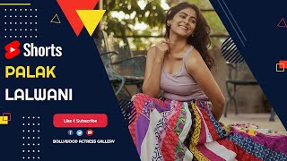 Dazzling 🫶 South Indian Actress Palak Lalwani In 4k Youtube Shorts Video!