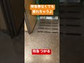 【タダ乗り！？】新青森から青森の間は、特急券なくても乗れる特急が走っています。