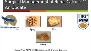 Surgical Management of Renal Calculi: An Update