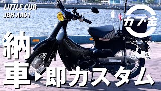 【スーパーカブ】リトルカブ（HONDA LITTLECUB/JBH-AA01）が納車されたのでカスタムしました！バイクカスタム/DIY/リトルカブレッグシールド