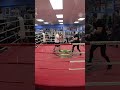 the coach vs sandro december 2024 steve_skboxing sparring exhibition