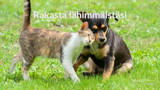 Rakasta lähimmäistäsi - Hetkiohjaus