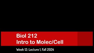 CSULB: Biol 212 Fall 2024 - Week 12 Lecture 1