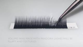 The Lash Shop - Pandora Lashes