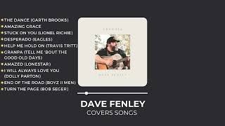 Dave Fenley - Best Covers Songs
