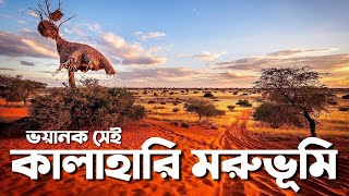 Kalahari Desert - কালাহারি মরুভূমি | Quantum