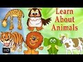 Learn About Animals - Animal Sounds - Learning Animals For Toddlers - Zoo Animals