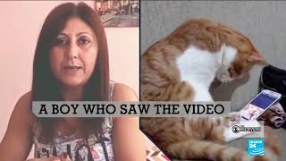 Hoax alert: This cat did NOT cuddle up to a video of his former owner