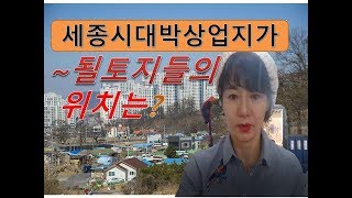 세종시부동산,세종시대박상업지가될 토지들은 어디?  세종시토지호탄리,