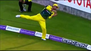 Best Catches in Cricket History !
