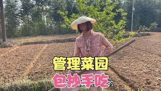 大姐栽的菜长起来了今天丢点灰，老公买了抄手皮回来包抄手吃