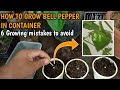 PAANO MAGTANIM NG BELL PEPPER O ATSAL SA CONTAINER at 6 growing mistakes to avoid