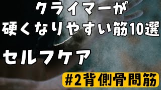 クライマーが硬くなりやすい筋10選【セルフケア】②背側骨間筋