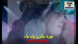 tora pagrhy wal wal Pashto Nazam Naat Jihadi Tarana natona song