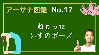 【アーサナ図鑑】No.17ねじったいすのポーズ