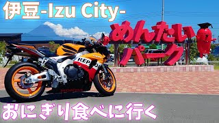 【伊豆】めんたいパークへおにぎりを食べに行くバイク女子【CBR1000RR SC57後期 逆車】真夏の渋滞は地獄