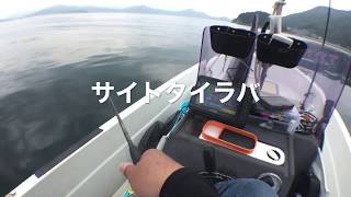 魚探を使ったサイトタイラバ