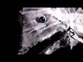 THE WEAVE - As Within