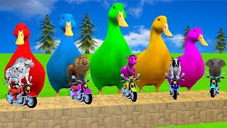 5 Giant Duck Cartoon, Cow, Elephant, Tiger, Paint Wild Animals Crossing Fountain Animation