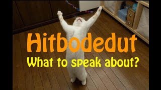 Hitbodedut | What to speak about?