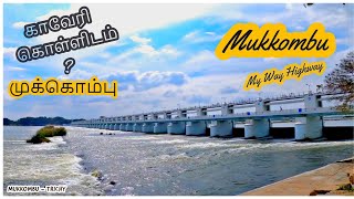 Trichy To Mukkombu upper Anicut via Srirangam island | Mukkombu park in Trichy | Coleroon