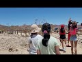 Walking tour of the Cholla Cactus Garden at Joshua Tree National Park