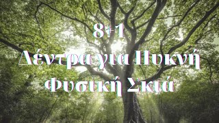 🌳8+1 Δέντρα για Πυκνή Φυσική Σκιά | The Gardener