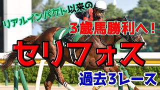 セリフォス 過去3レース集【安田記念参考】