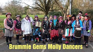 Brummie Gems Molly Dancers Annual Wassail with Friends of Perry Hall Country Park 2025