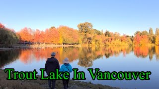 Trout Lake in Vancouver ( 밴쿠버 단풍명소)