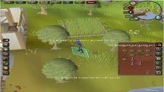 OSRS Woodcutting Mobile Bot with Python