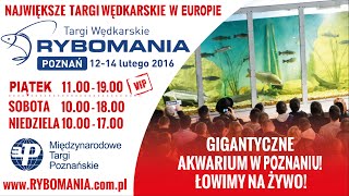 Rybomania Poznań 2016 - Zapowiedź