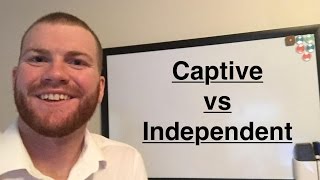 What Are Captive And Independent Agents?