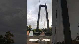 TOYAMA 呉羽丘陵フットパス橋梁 呉羽山 城山 連絡橋 歩道橋 夜間 開放 再開 南向き 立山連峰 富山市 富山県道44号 旧8号 富山高岡線 DRIVE 観光 旅行 橋脚 2024年8月25日1