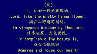 聖徒詩歌 223 哦，主耶穌，每想到袮 LORD JESUS CHRIST OUR HEART FEELS SWEET