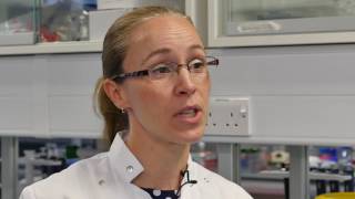 Dr Kate Ellacott - molecular mechanisms which control food intake and body weight by the brain