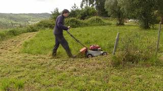 Mowing Small Plot Of Land With Honda GXV120 Self Propelled Mower Will it be Faster than the Tractor?