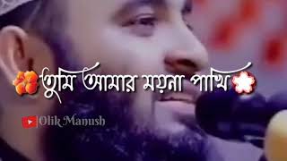 waz status video|mizanur rahman azhari whatsapp status short video islami