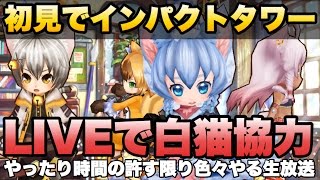 【白猫】初見でインパクトタワー！＆茶熊神気でLIVE協力！