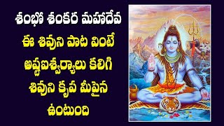 Shambo Shankara Mahadeva Song || Telugu Devotional Songs || Shri Tv Om
