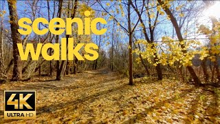 4K | Tranquil River Walk | Virtual Treadmill | Explore Serene Landscapes and Nature’s Beauty