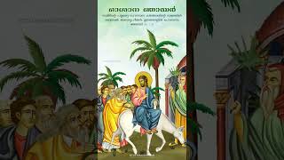 ഓശാന ഞായർ | Palm Sunday | Roy Puthur