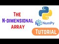 Python Numpy Tutorial For Beginners - The N-dimensional array (ndarray)